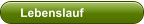 Lebenslauf